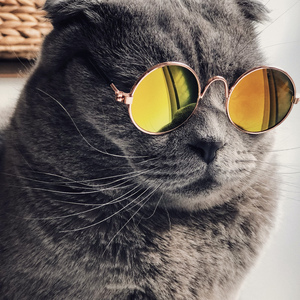 百度搜索欧洲美女与动物乱伦交配视频
